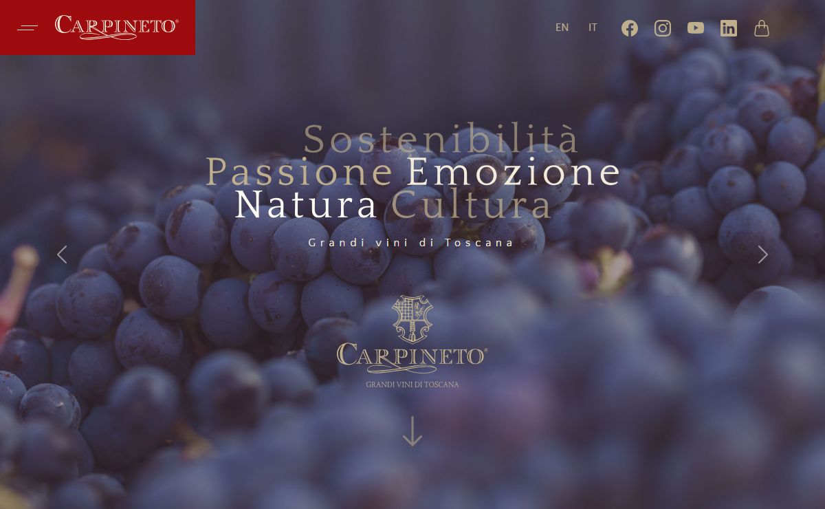 Carpineto - Azienda Vinicola Greve in Chianti e Montepulciano