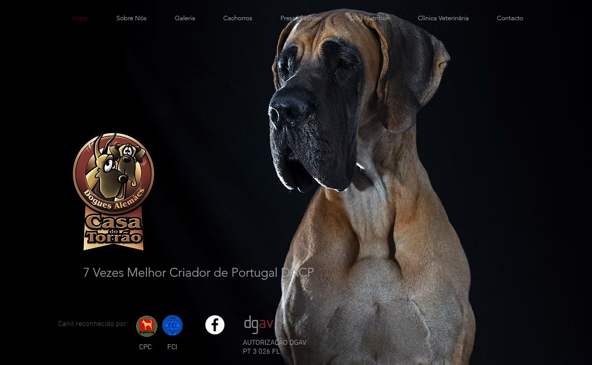 Casa do Torrão - Dogue Alemão, Grand Danois, Great Dane, Dogo Aleman