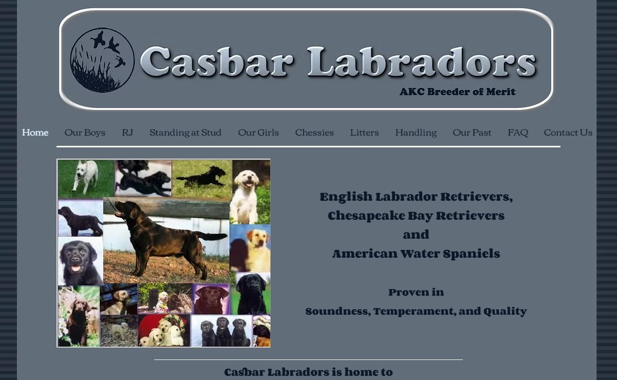 Home | My Site Casbar Labradors Chesapeake Bay Retrievers American Water Spaniel