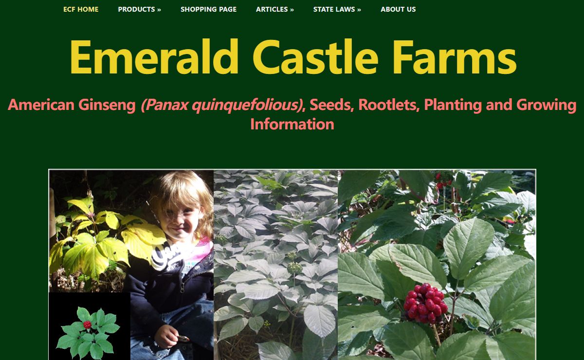 Emerald Castle Farms Ginseng Seeds Mushrooms and Growing Information