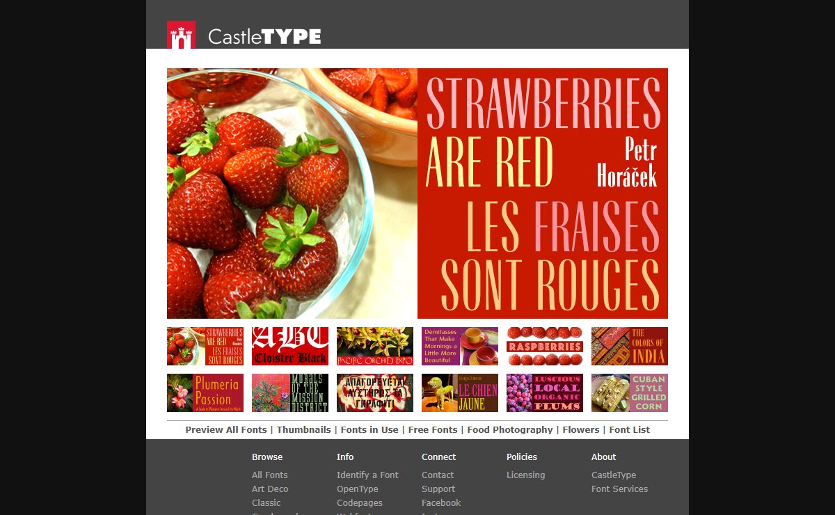 CastleType: Fabulous Fonts for Discerning Designers
