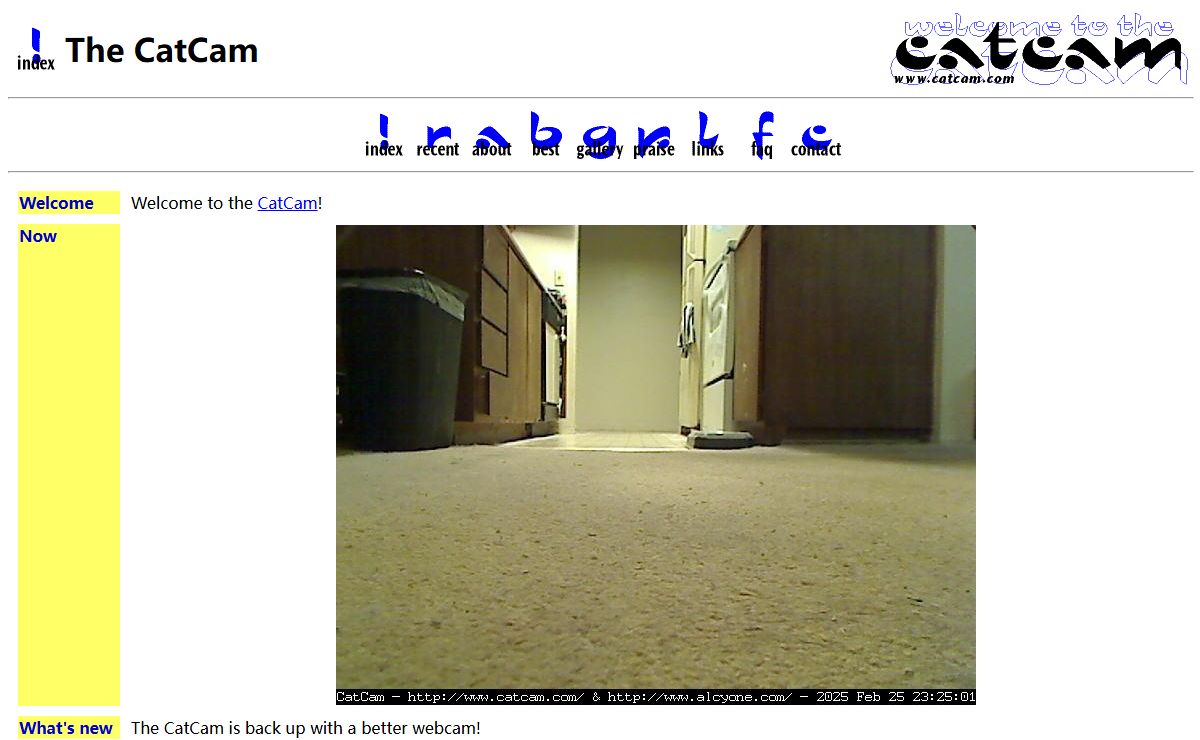 CatCam