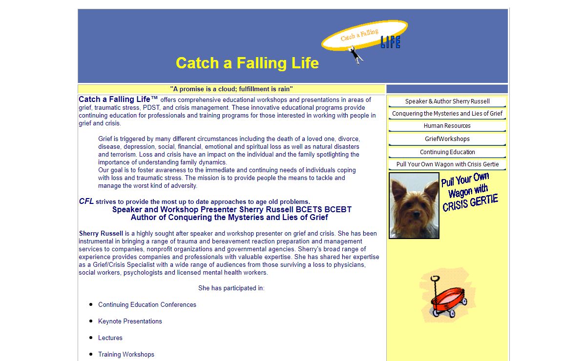 Catch a Falling Life