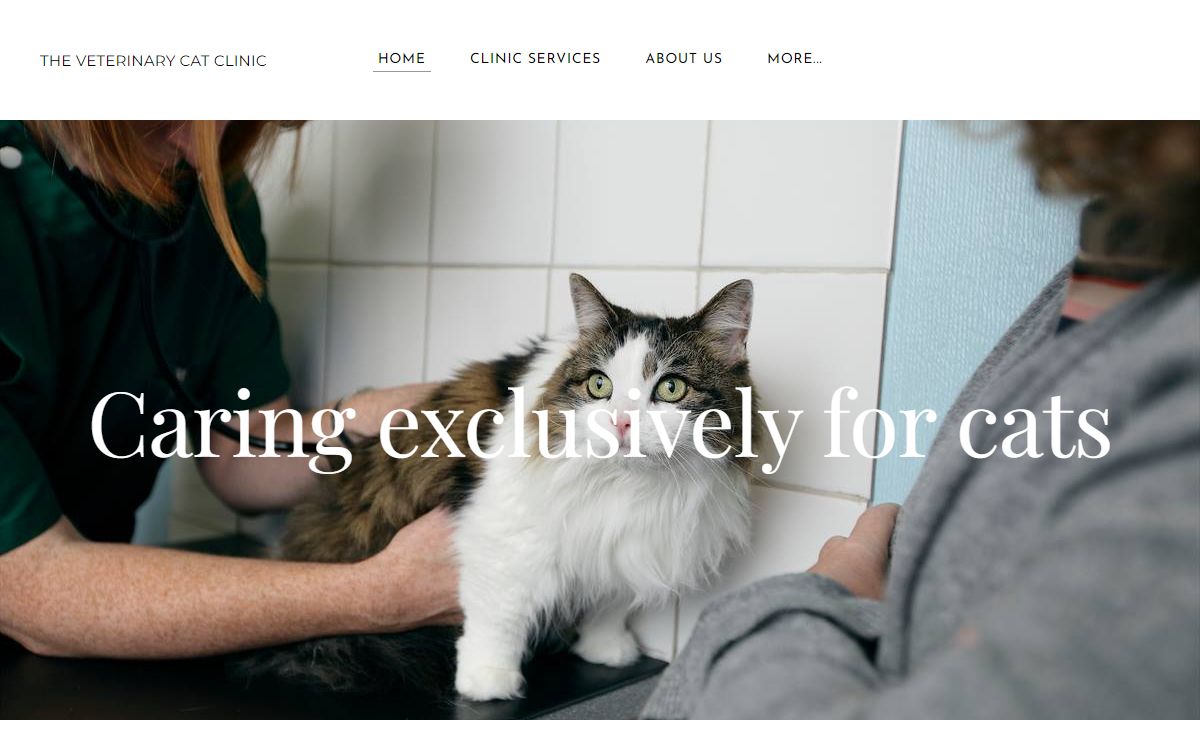 THE VETERINARY CAT CLINIC - Home