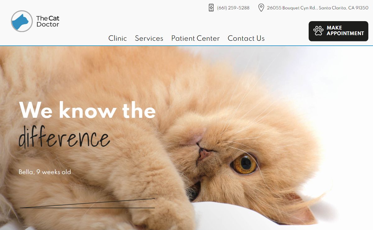 Best Vet in Santa Clarita | The Cat Doctor in Santa Clarita, CA