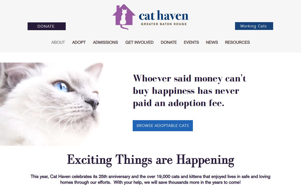 Cat Haven | Animal Shelter | Baton Rouge