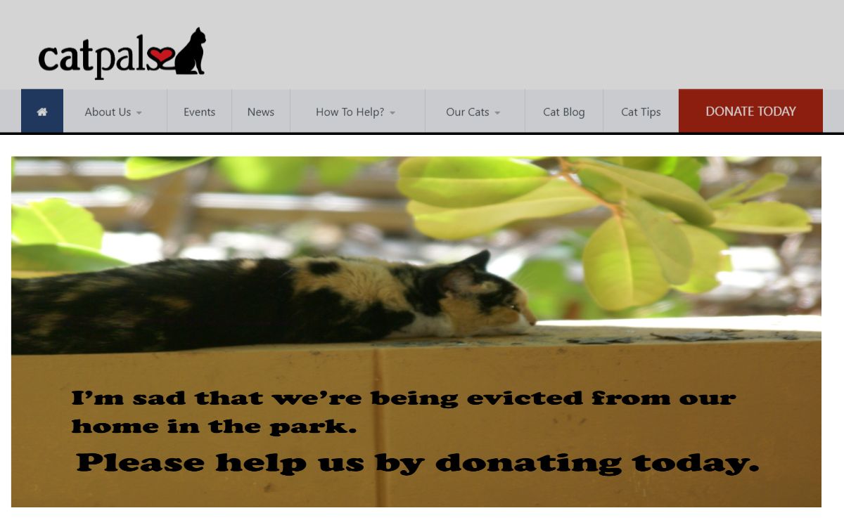 CatPals, Inc