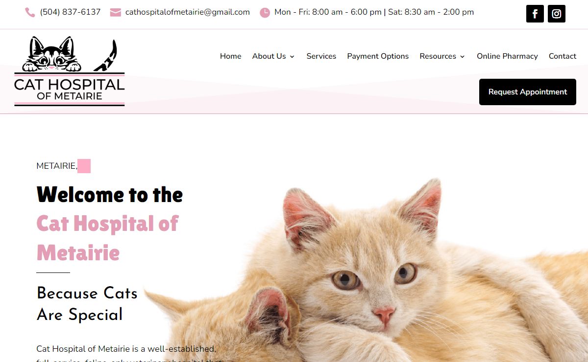 Best Cat Hospital In Metairie, LA | Cat Hospital Of Metairie