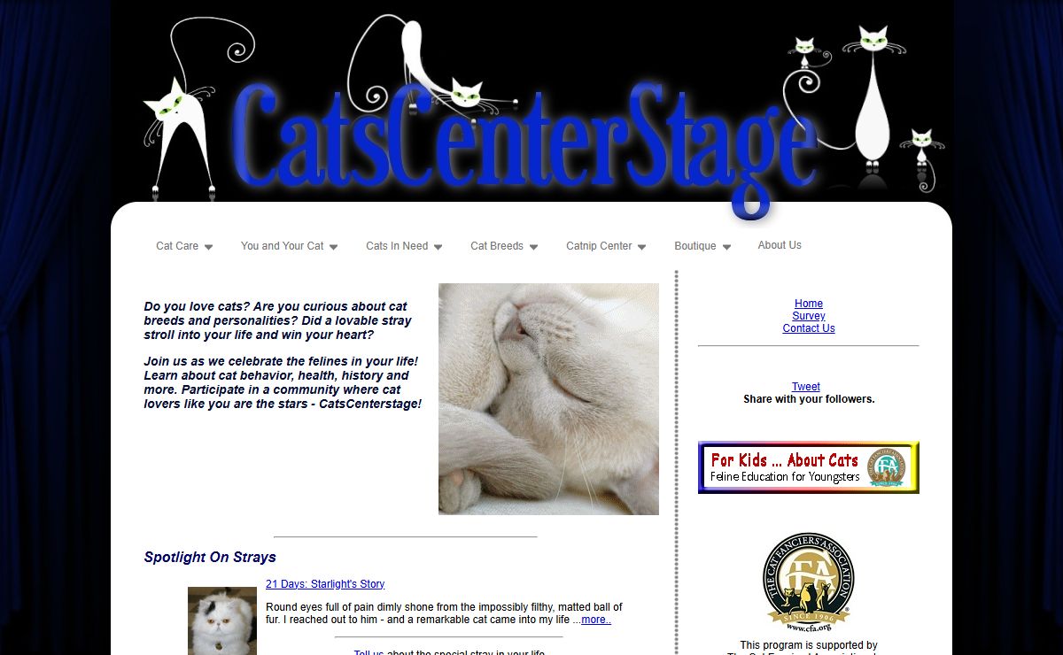 CatsCenterstage: Join Us as We Celebrate the Felines in Our Lives!