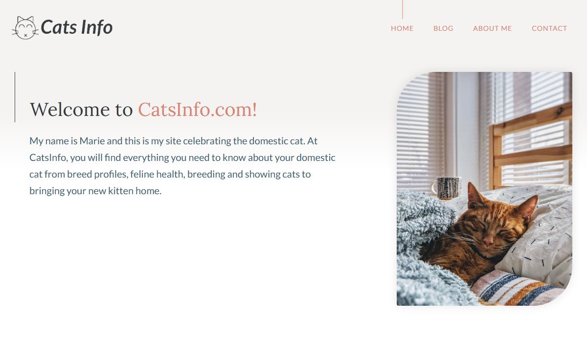 CatsInfo – Cats, Kittens & Everything Between.