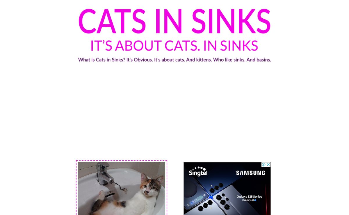 Cats In Sinks