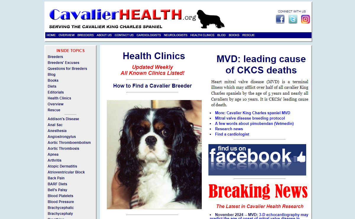 Cavalier King Charles Spaniel | Health & Genetic Diseases
