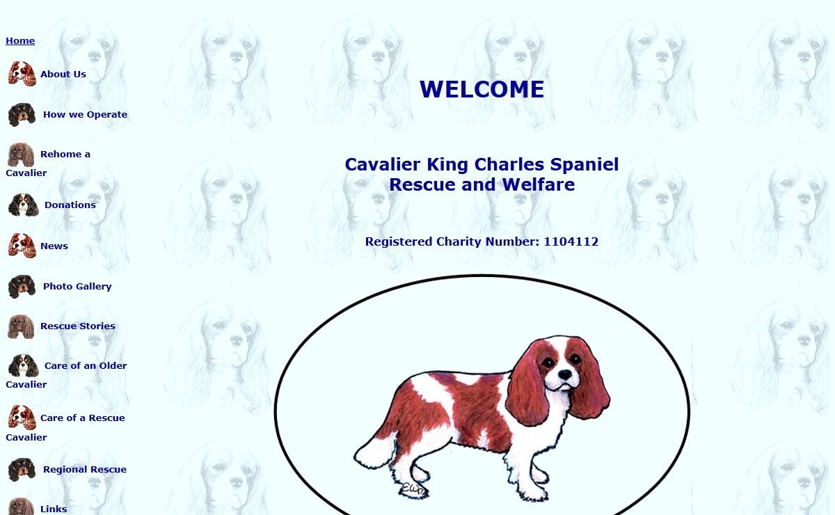 Cavalier King Charles Spaniel - Rescue and Welfare UK