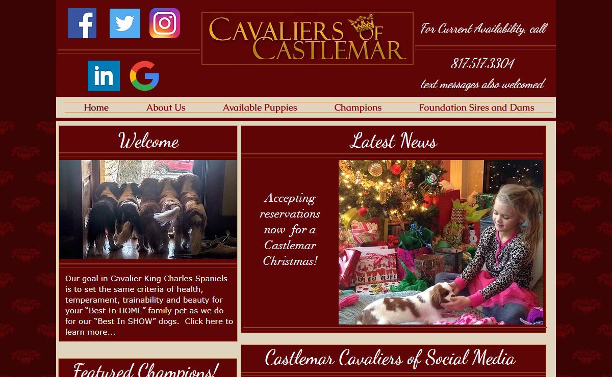 Cavaliers Of Castlemar, Cavalier King Charles Spaniels Breeder TX/OK