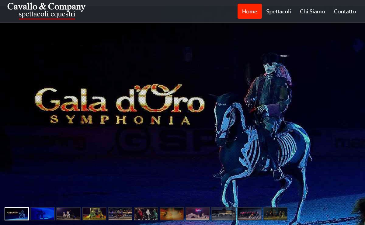 Spettacoli equestri - Cavallo & Company