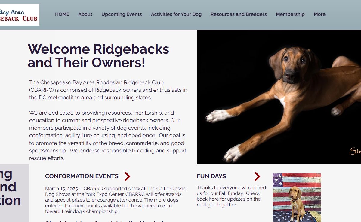 Chesapeake Bay Area Rhodesian Ridgeback Club I CBARRC I District of Columbia I Maryland I Virginia I Pennsylvania