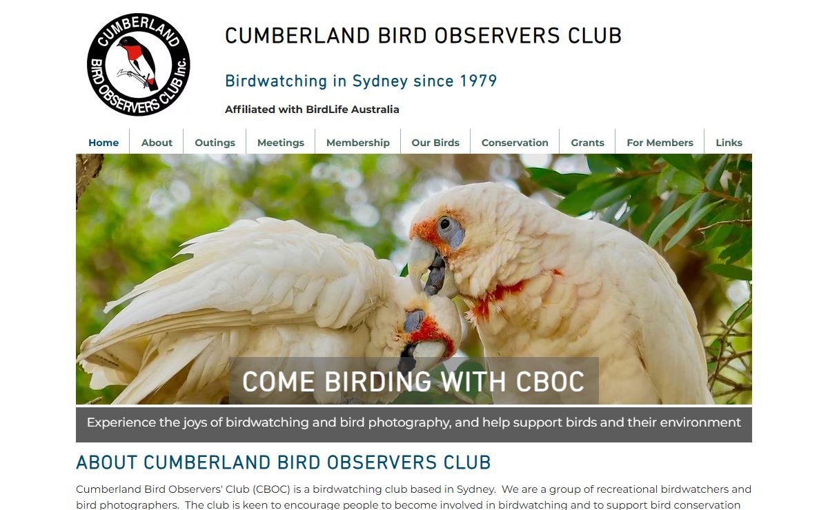 Birdwatching | Cumberland Bird Observers Club | Sydney
