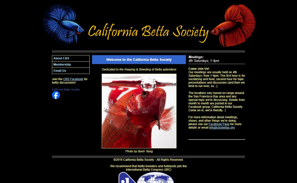 California Betta Society - a Northern California organization of breeders and afficionados of bettas