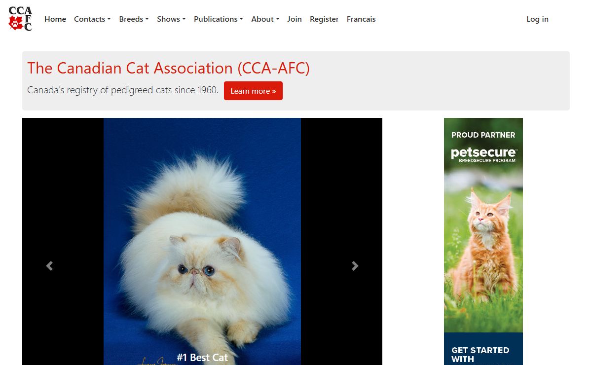 Home Page - Canadian Cat Association - L'Association féline Canadienne