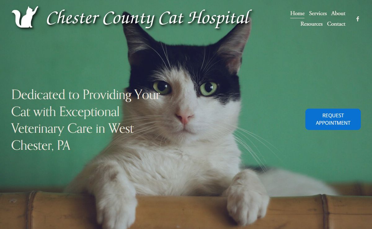 Chester County Cat Hospital