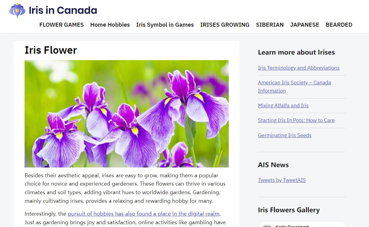 Iris Flowers - Rainbow Plants in Your Garden