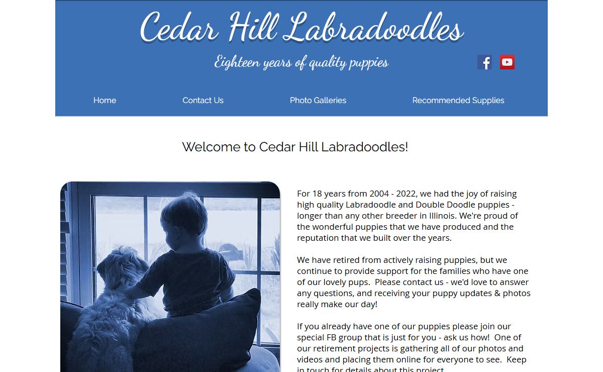 Quality Labradoodle Puppies | Cedar Hill Labradoodles | Illinois