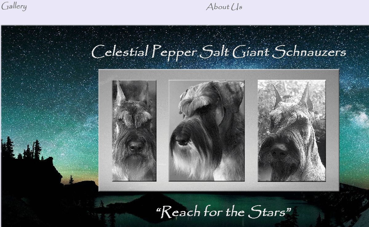 Celestial Pepper Salt Giant Schnauzers - Home