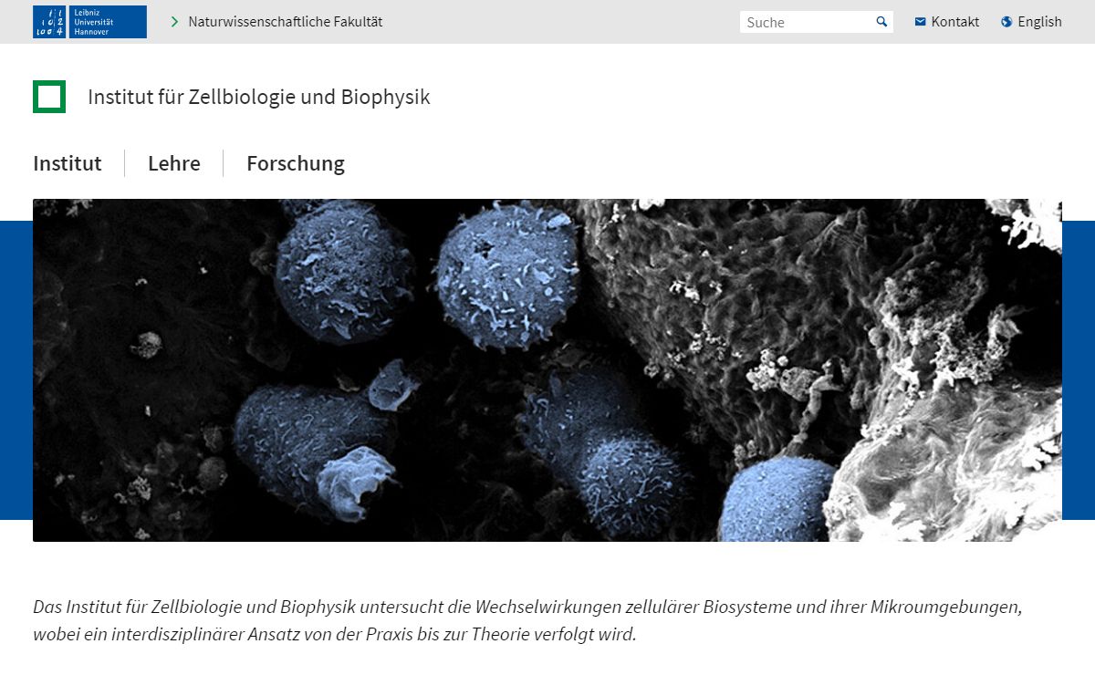 Startseite – Institut für Zellbiologie und Biophysik – Leibniz Universität Hannover