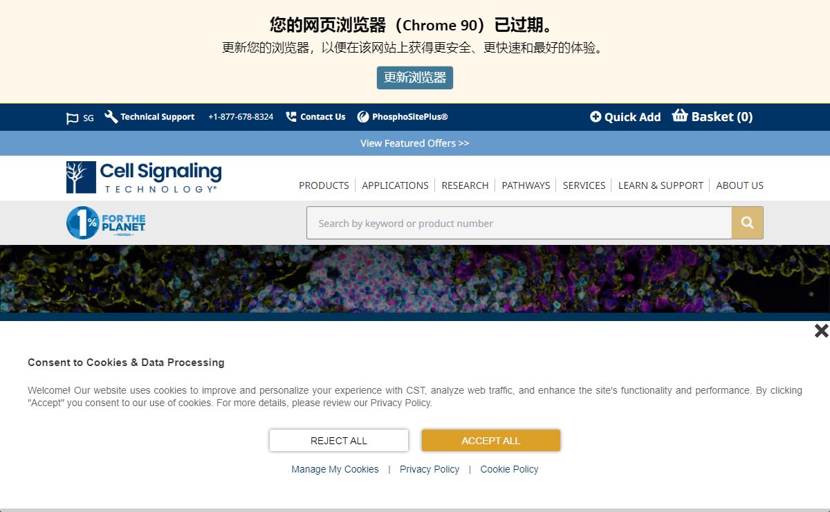Antibodies, Reagents, Proteomics, Kits and Consumables | Cell Signaling Technology