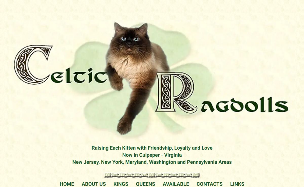 Celtic Ragdolls - Home - in Virginia - Washington and New Jersey - Cats and Kittens 2