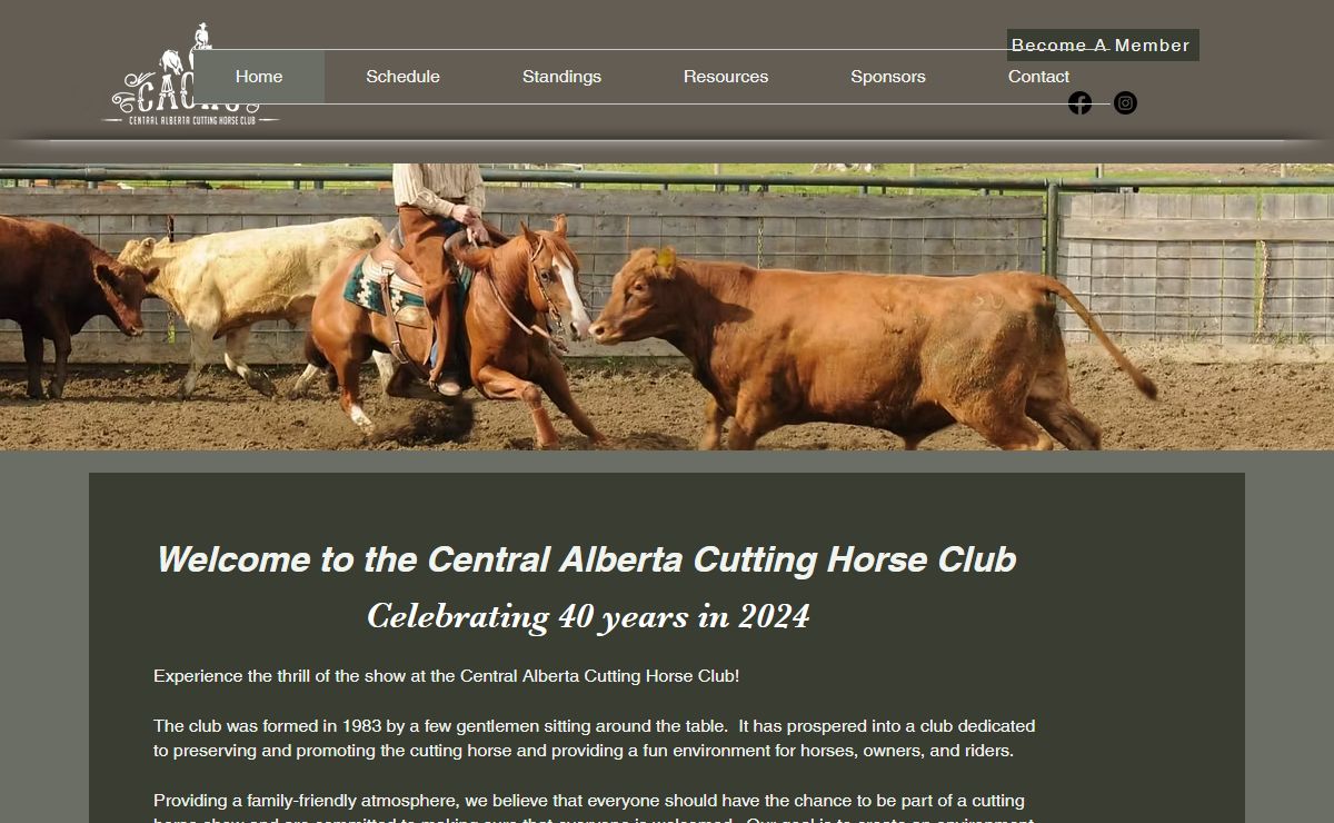 Home | CentralAlbertaCuttingHorseClub