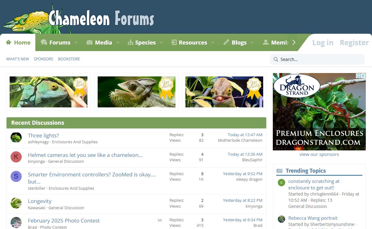 Chameleon Forums