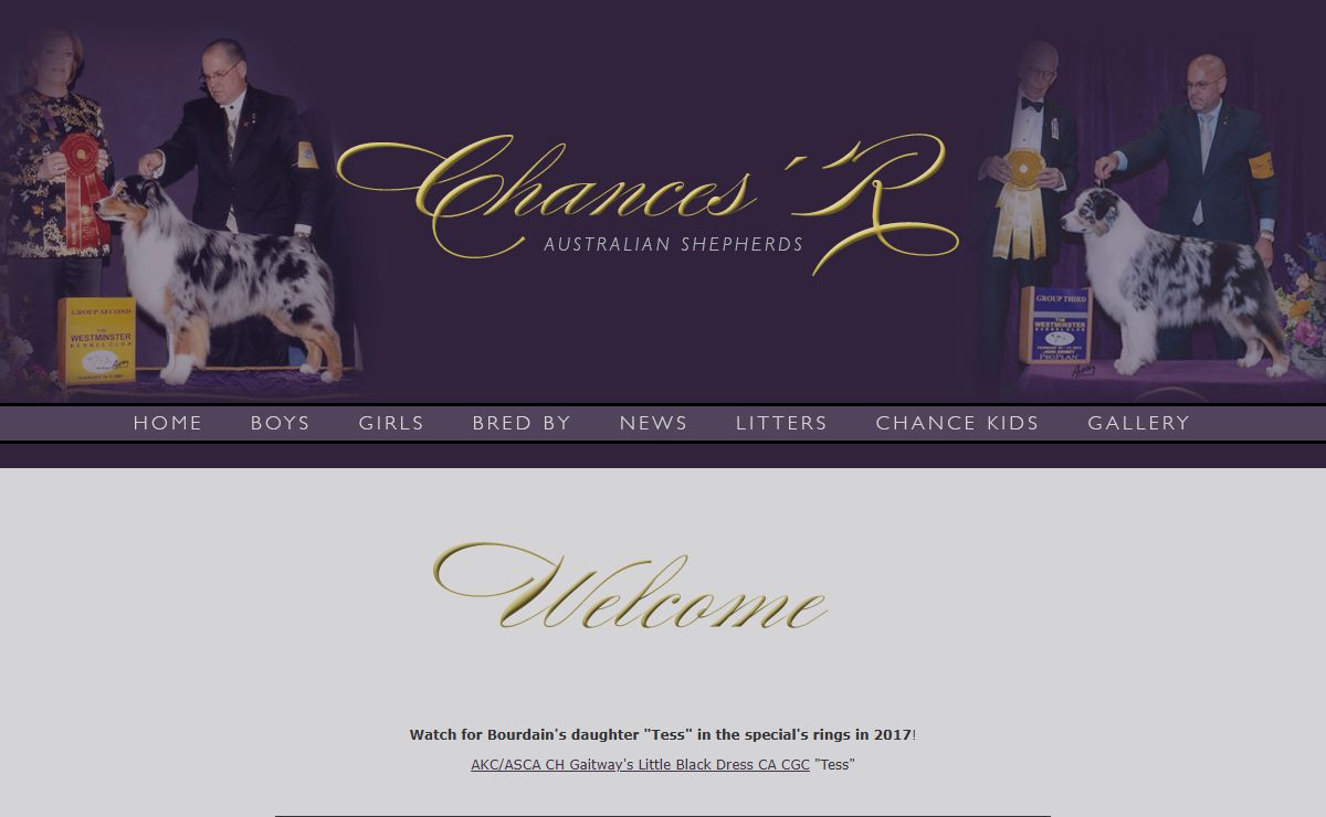 Chances' R Australian Shepherds • Welcome