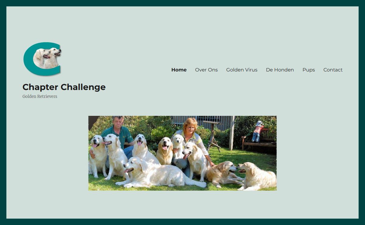 Chapter Challenge – Golden Retrievers