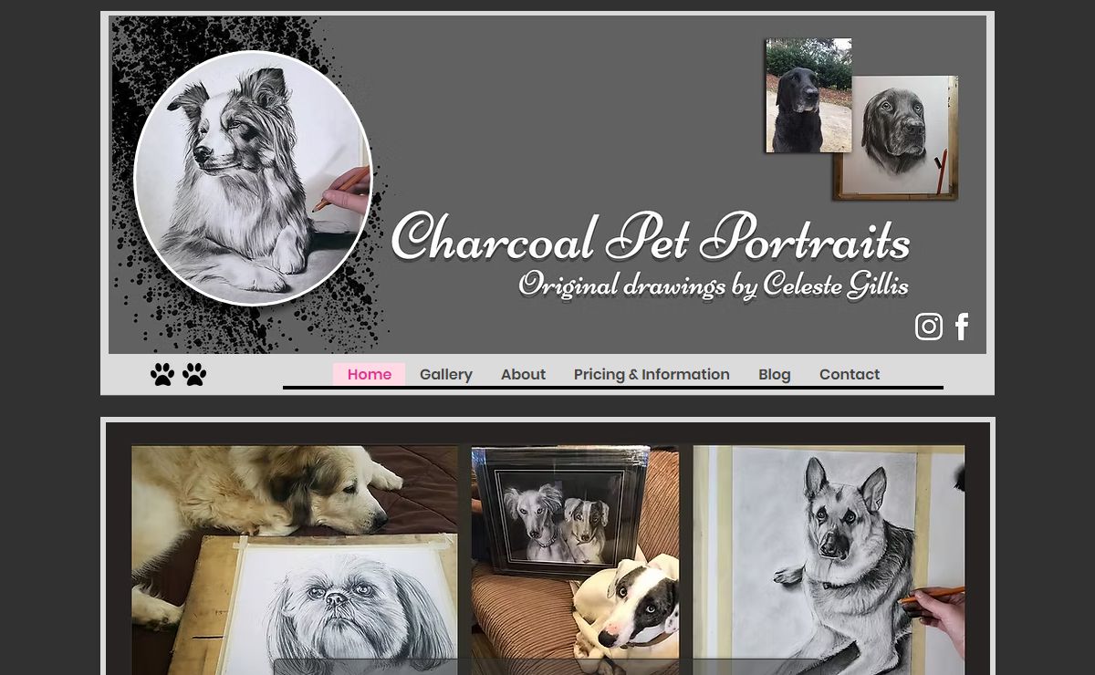 Charcoal Pet Portraits