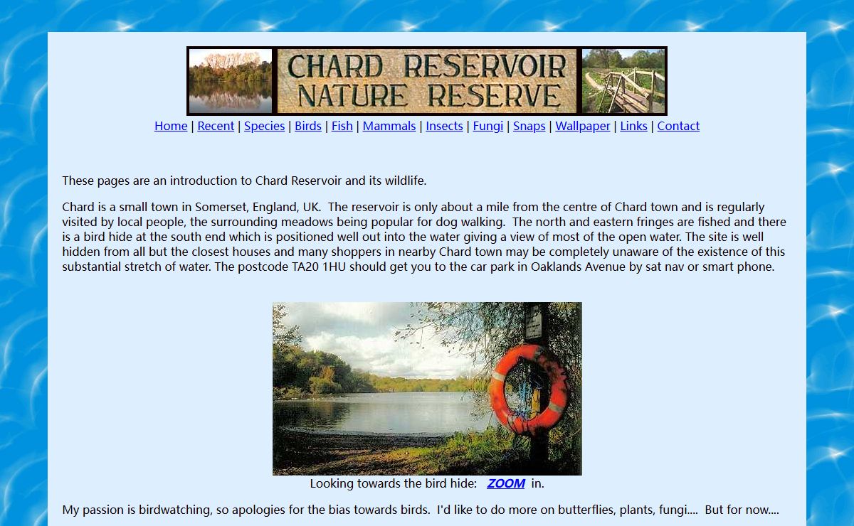 Chard Reservoir - Birdwatching