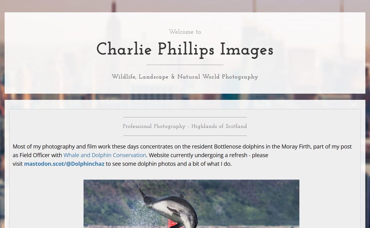 Charlie Phillips Images