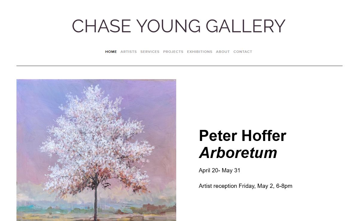 Chase Young Gallery