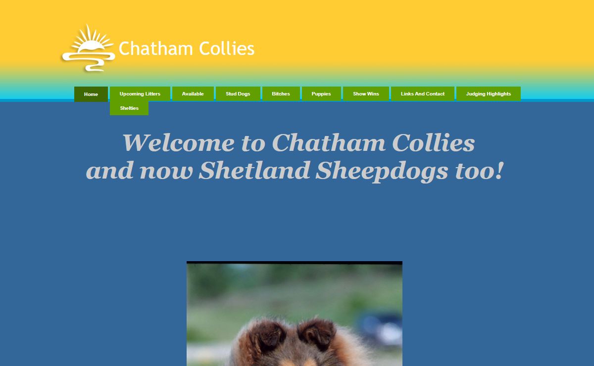 Chatham Collies