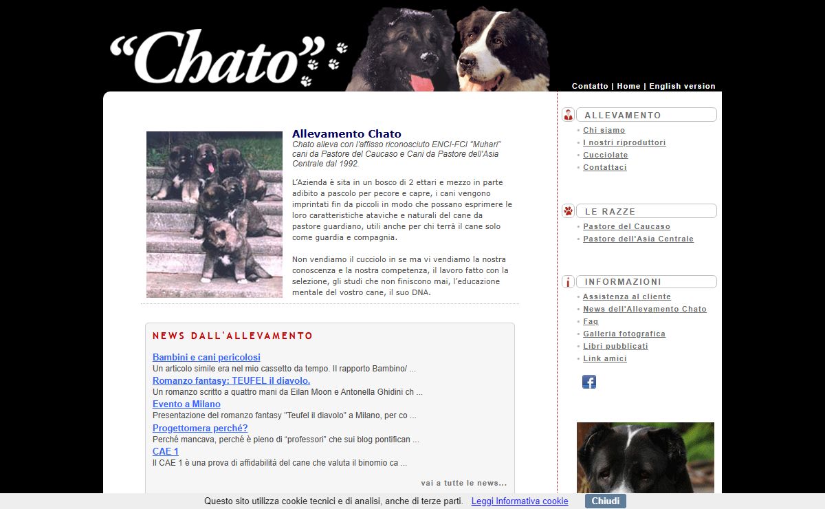 Pastore del Caucaso, Pastore dell'Asia Centrale. Allevamento Chato