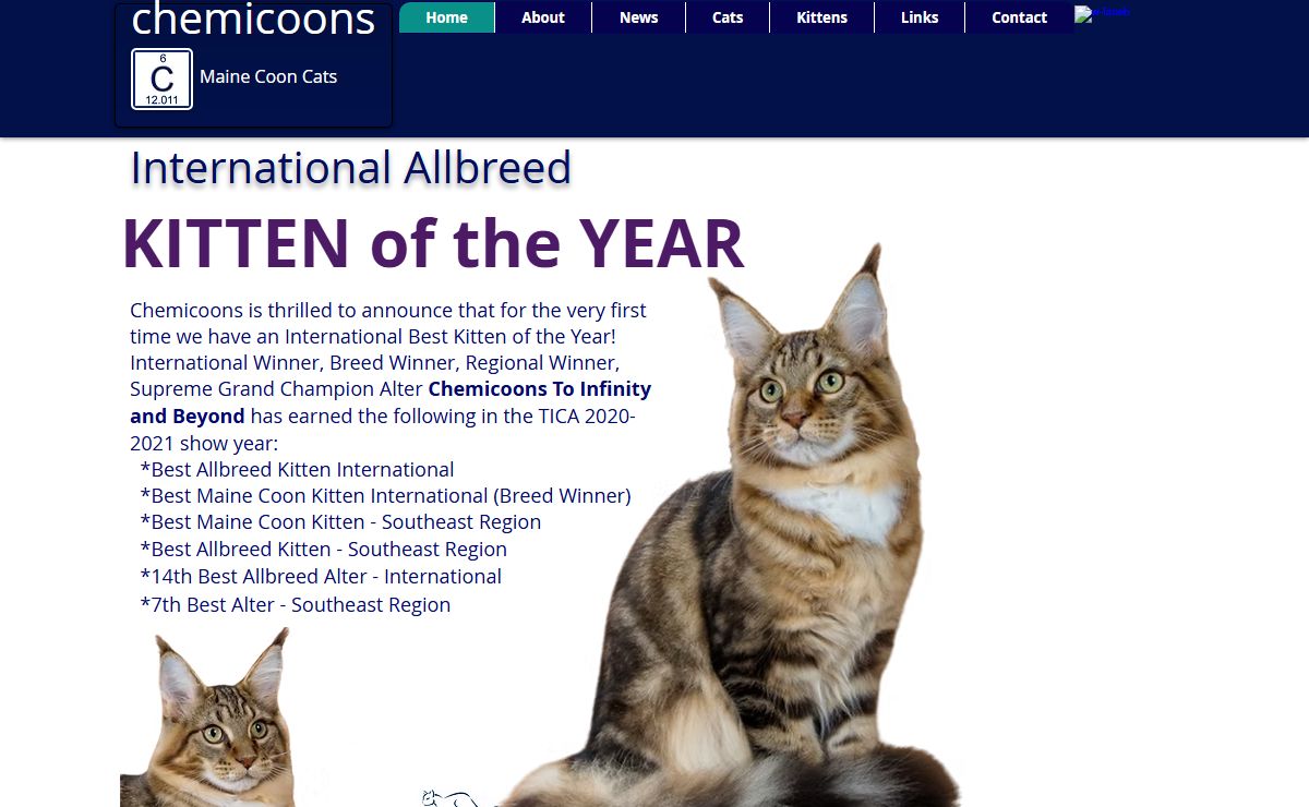 Maine Coon Cats in Illinois - Chemicoons