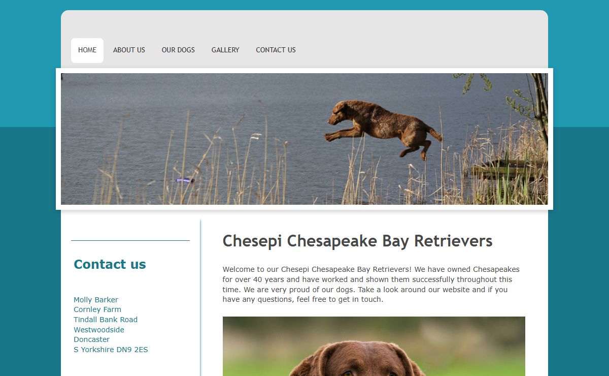 Chesepi Chesapeakes - Home