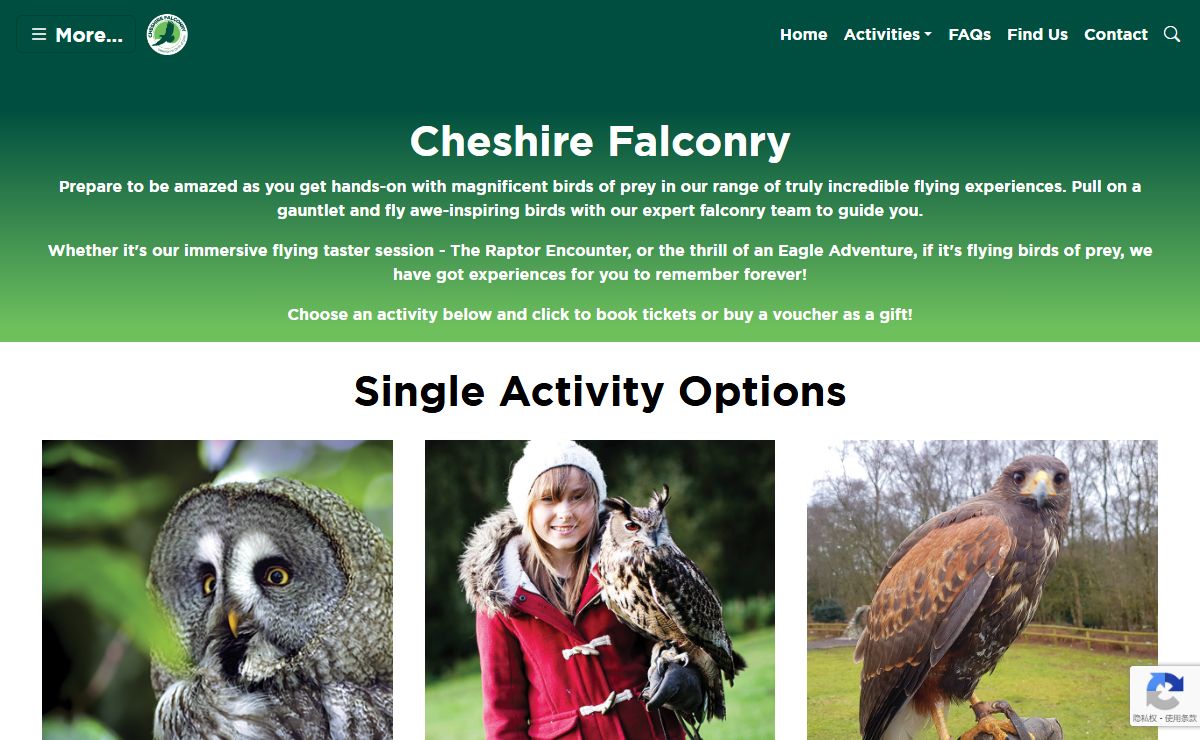 Cheshire Falconry – Birds of Prey Centre