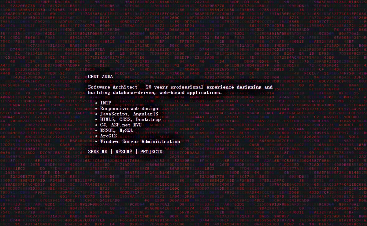 Chet Zema - Software Developer