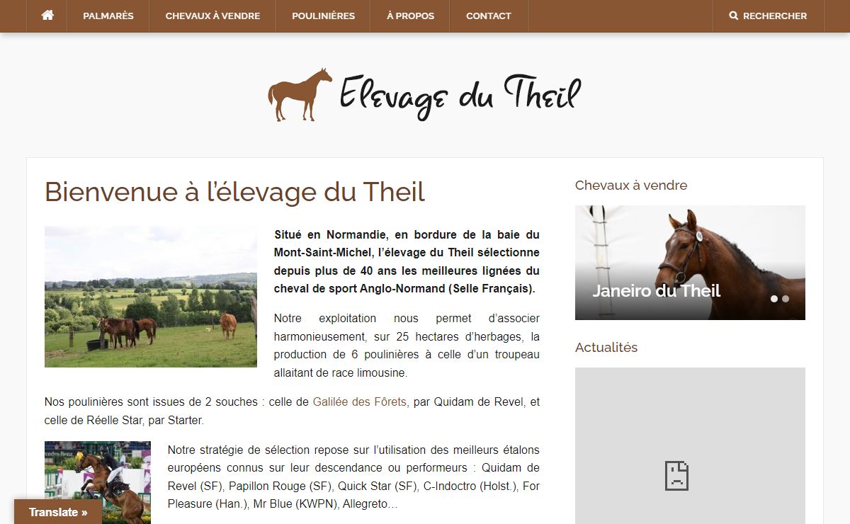 Vente de Chevaux de Sport (CSO - Selle Français) : Élevage du Theil