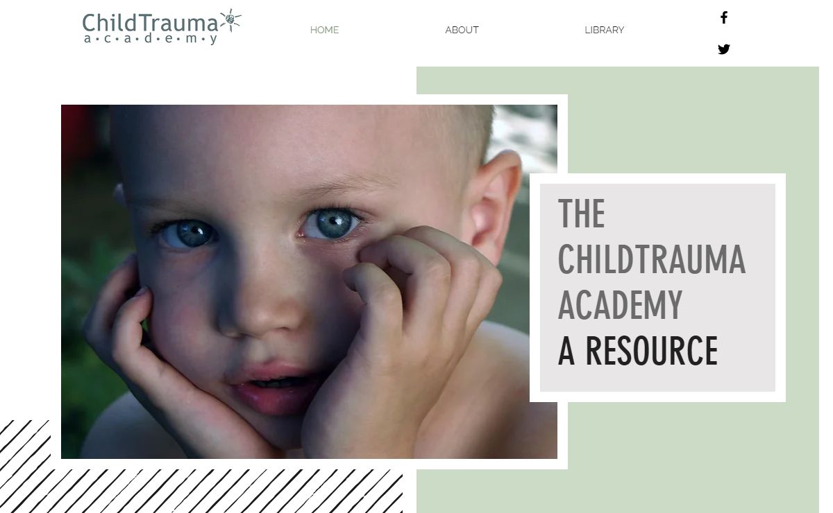 HOME | ChildTrauma Academy