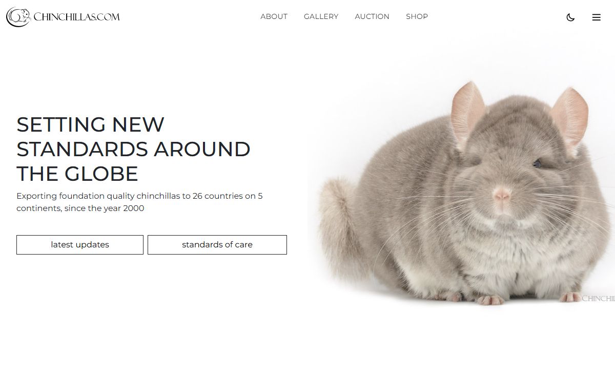 Chinchillas.com - Chinchilla Sales, Exports, and Products