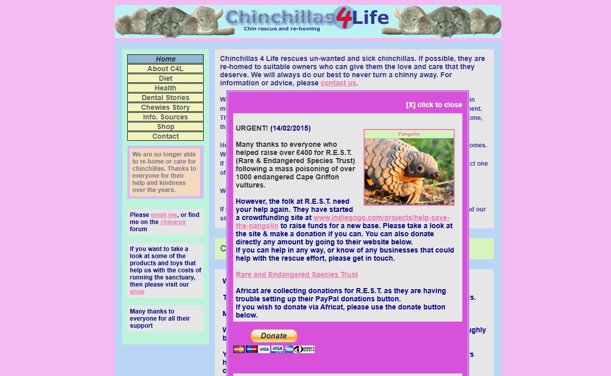 Chinchillas4Life :: chinchilla rescue and re-homing