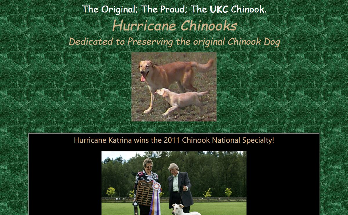 Hurricane Chinooks - Chinook puppies and Chinook dogs from registered champion health-tested parents. Chinooks are native US sled dogs and are wonderful family pets; litters produced with a focus on temperament, structural soundness and lifelong health.