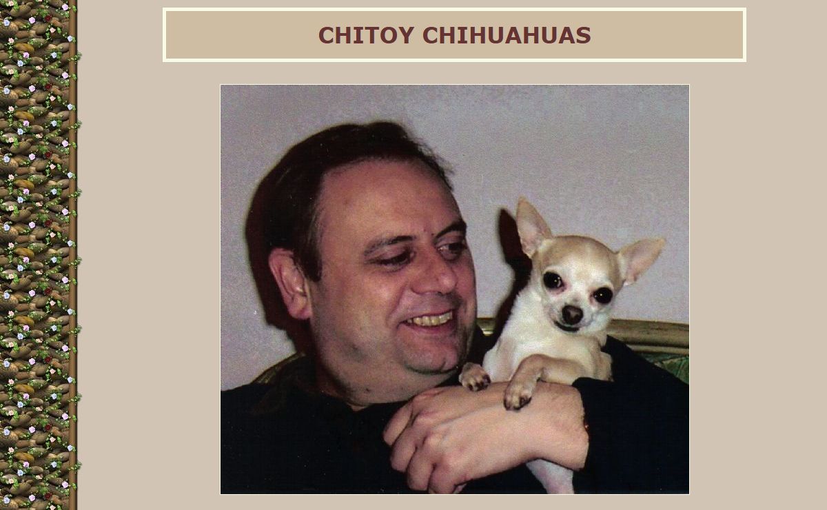 CHITOY CHIHUAHUAS